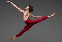 Daniel Rubin website