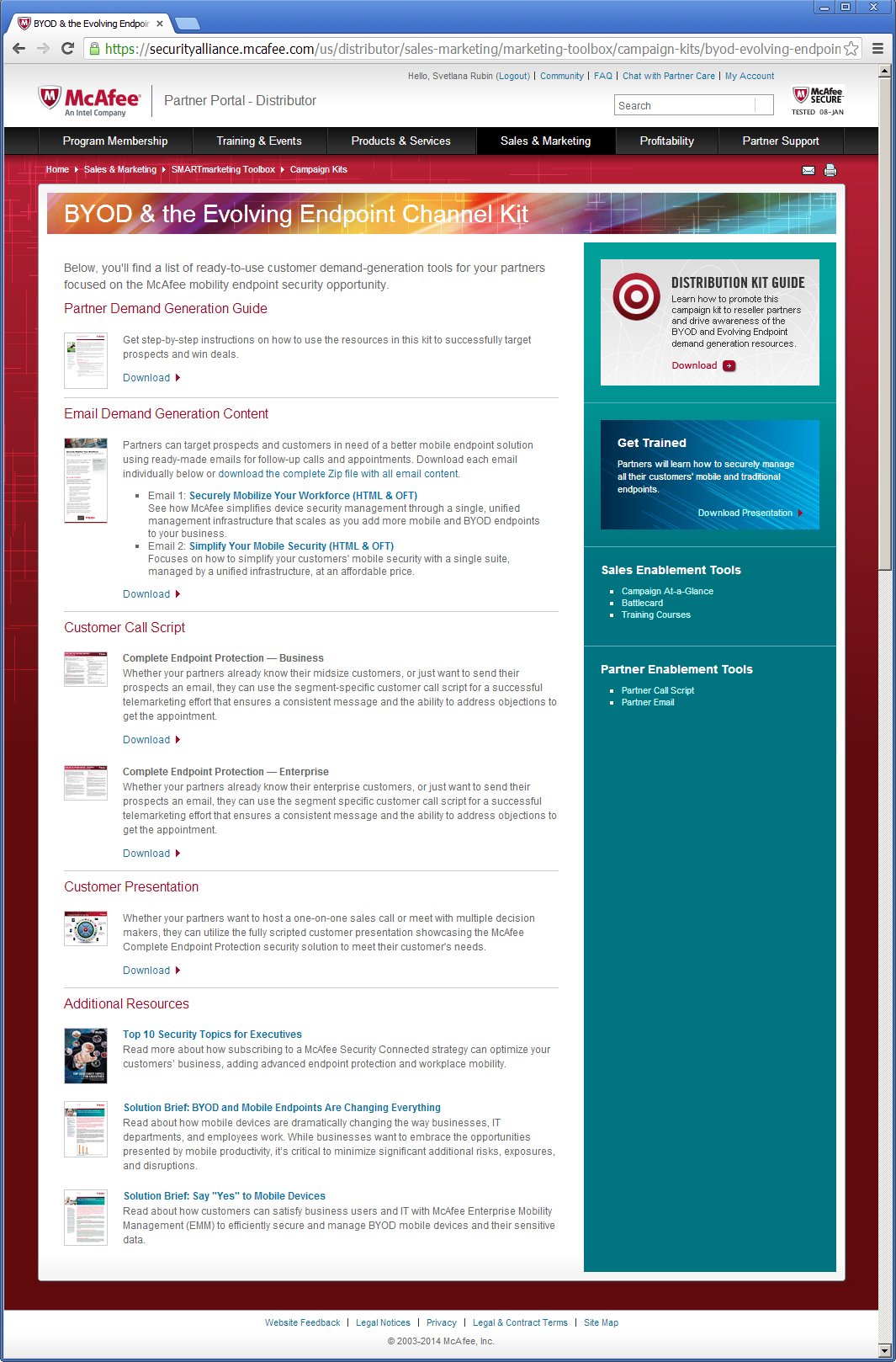McAfee Partner Portal Campaign Kits detail page